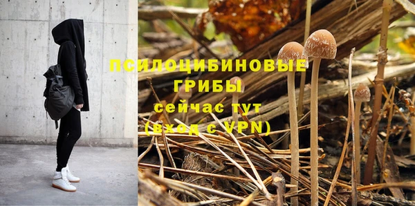 эйфоретик Бородино