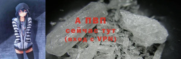 PSILOCYBIN Богородицк