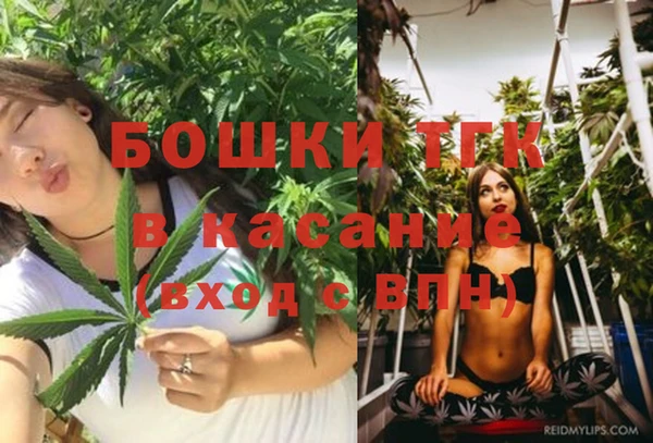 PSILOCYBIN Богородицк
