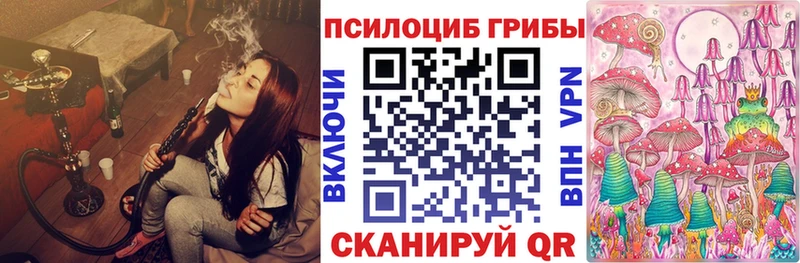 Псилоцибиновые грибы Psilocybe  наркота  площадка Telegram  Черкесск 